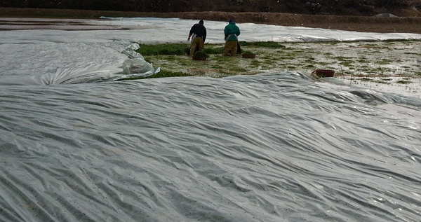 20130125_112906.jpg