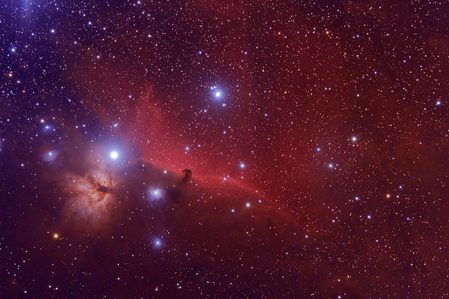 horsehead_bertol.jpg