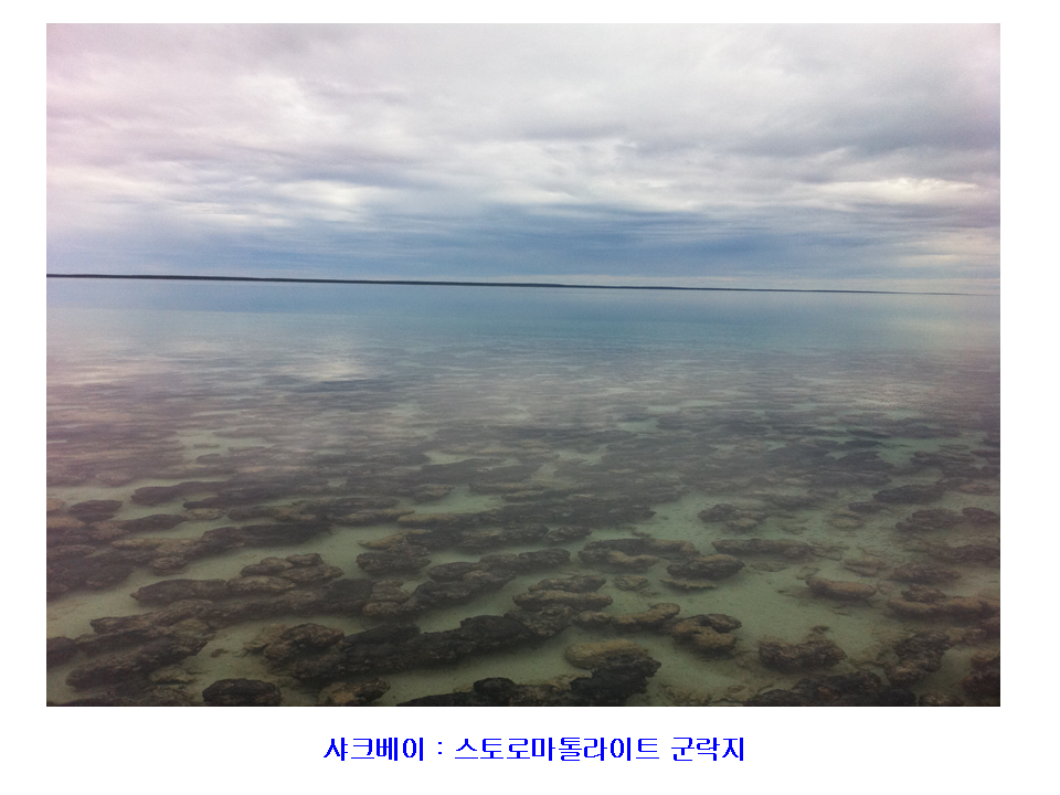 슬라이드12.PNG