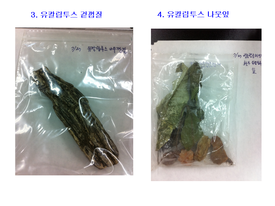 슬라이드17.PNG