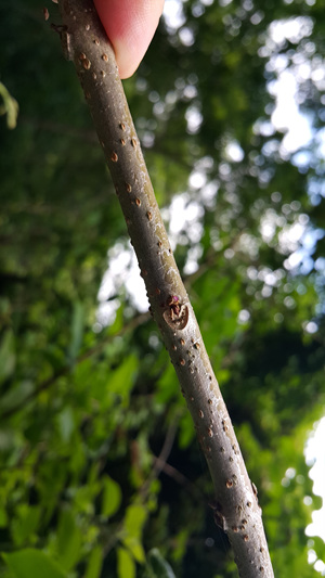20180614_120907.jpg