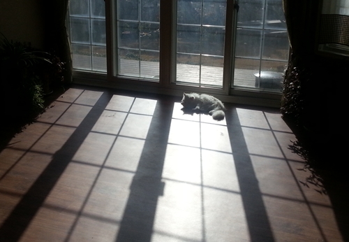 20121126_140531.jpg