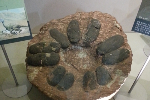 20130101_144920.jpg