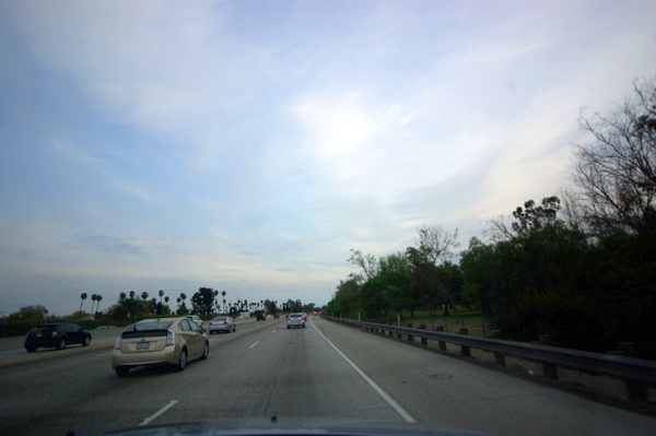 IMGP8793.JPG