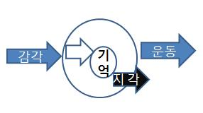 지각.PNG