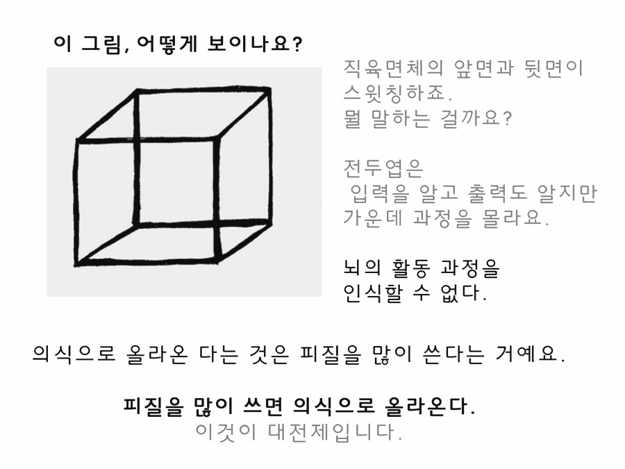 니케2.jpg