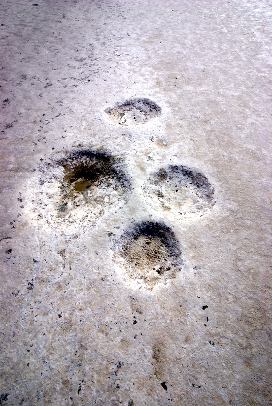 1-IMGP2060.JPG