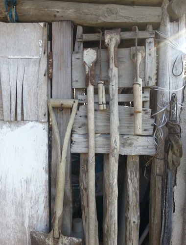 20130204_151026.jpg