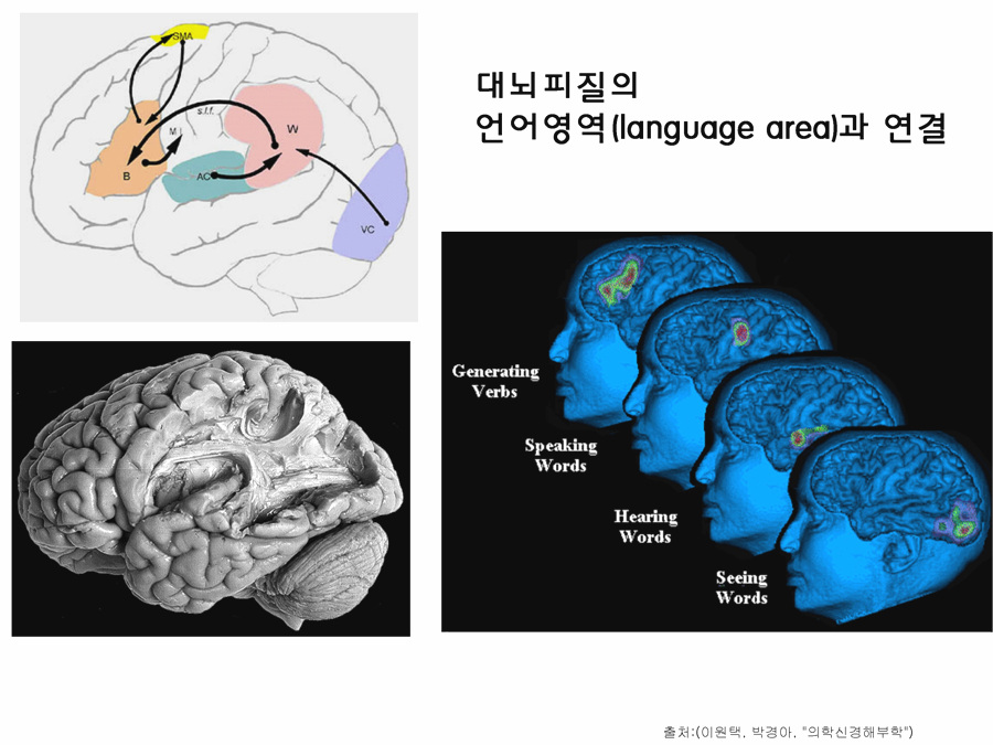 파란사람.jpg