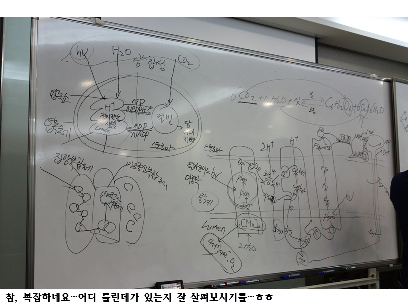 슬라이드55.PNG