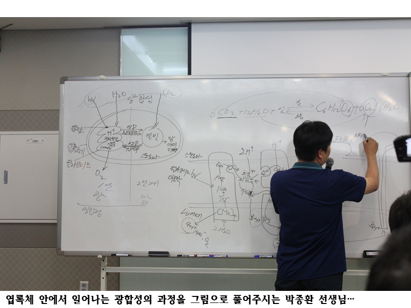 슬라이드52.PNG