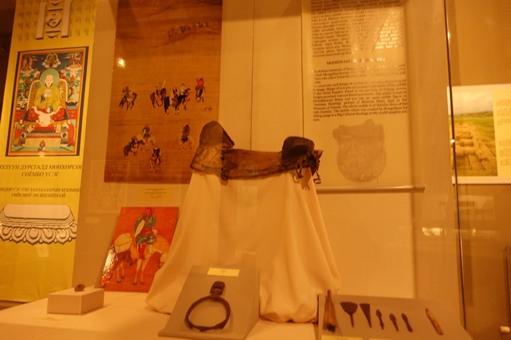 DSC02313.JPG