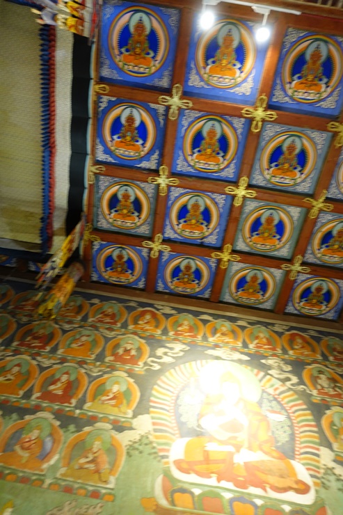 DSC02290.JPG