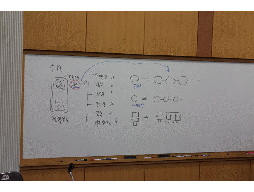 슬라이드8.GIF