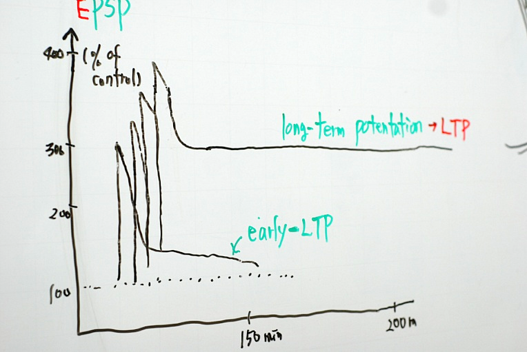 그림3.png