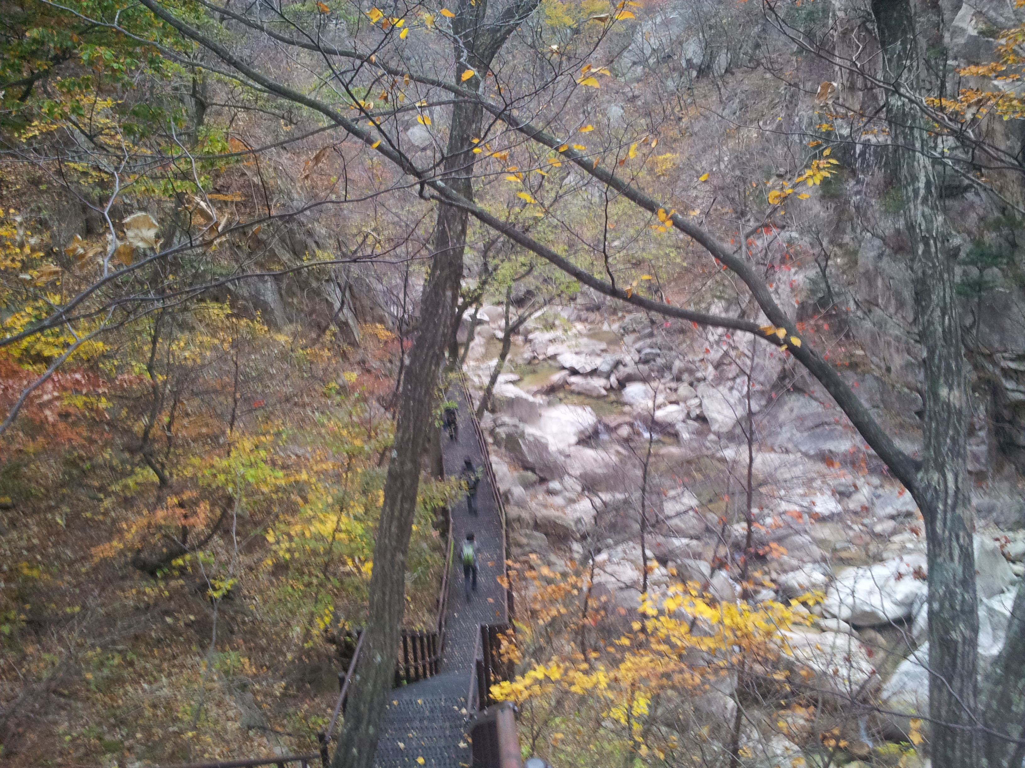 20121027_071632.jpg