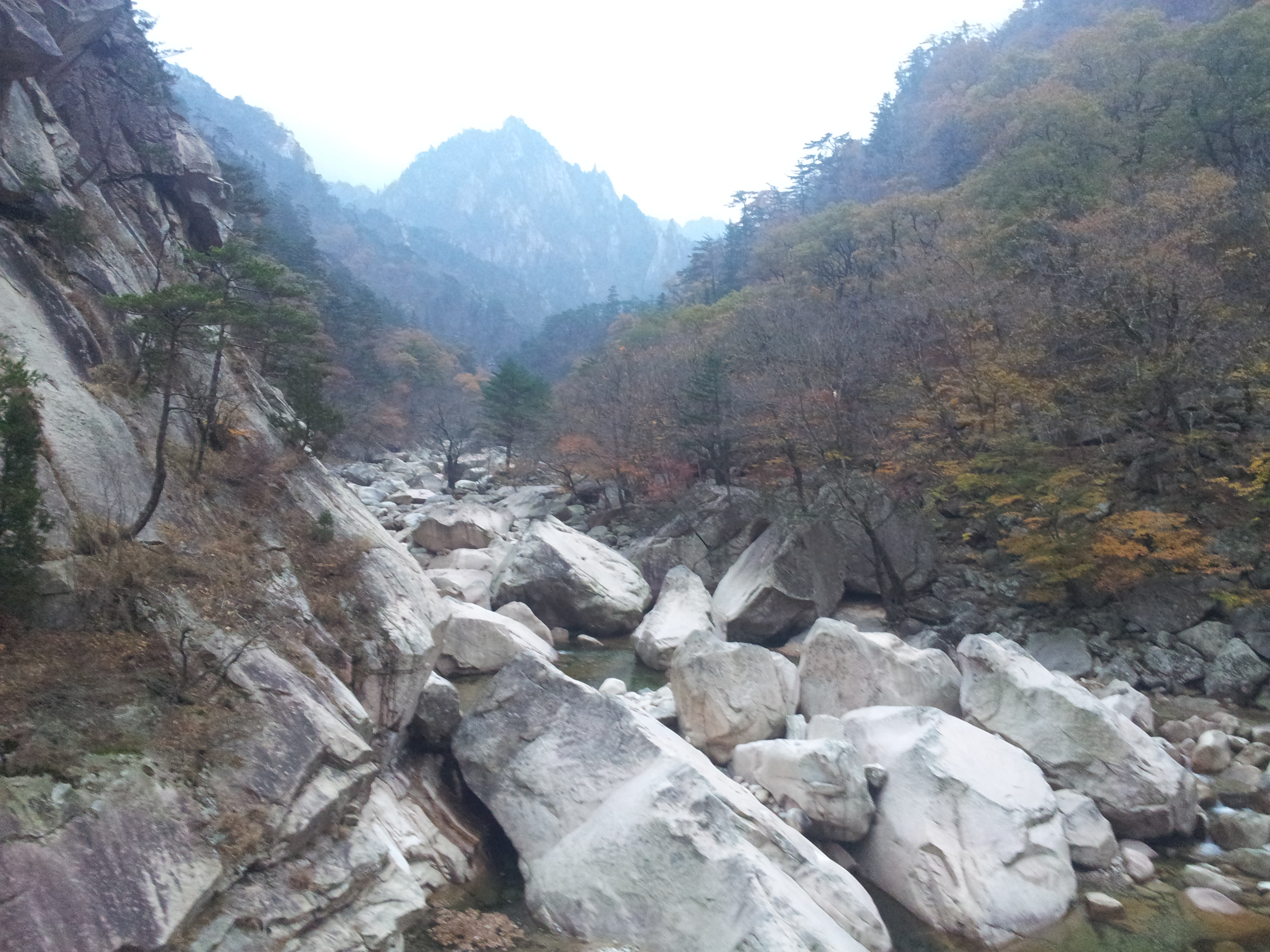 20121027_065433.jpg