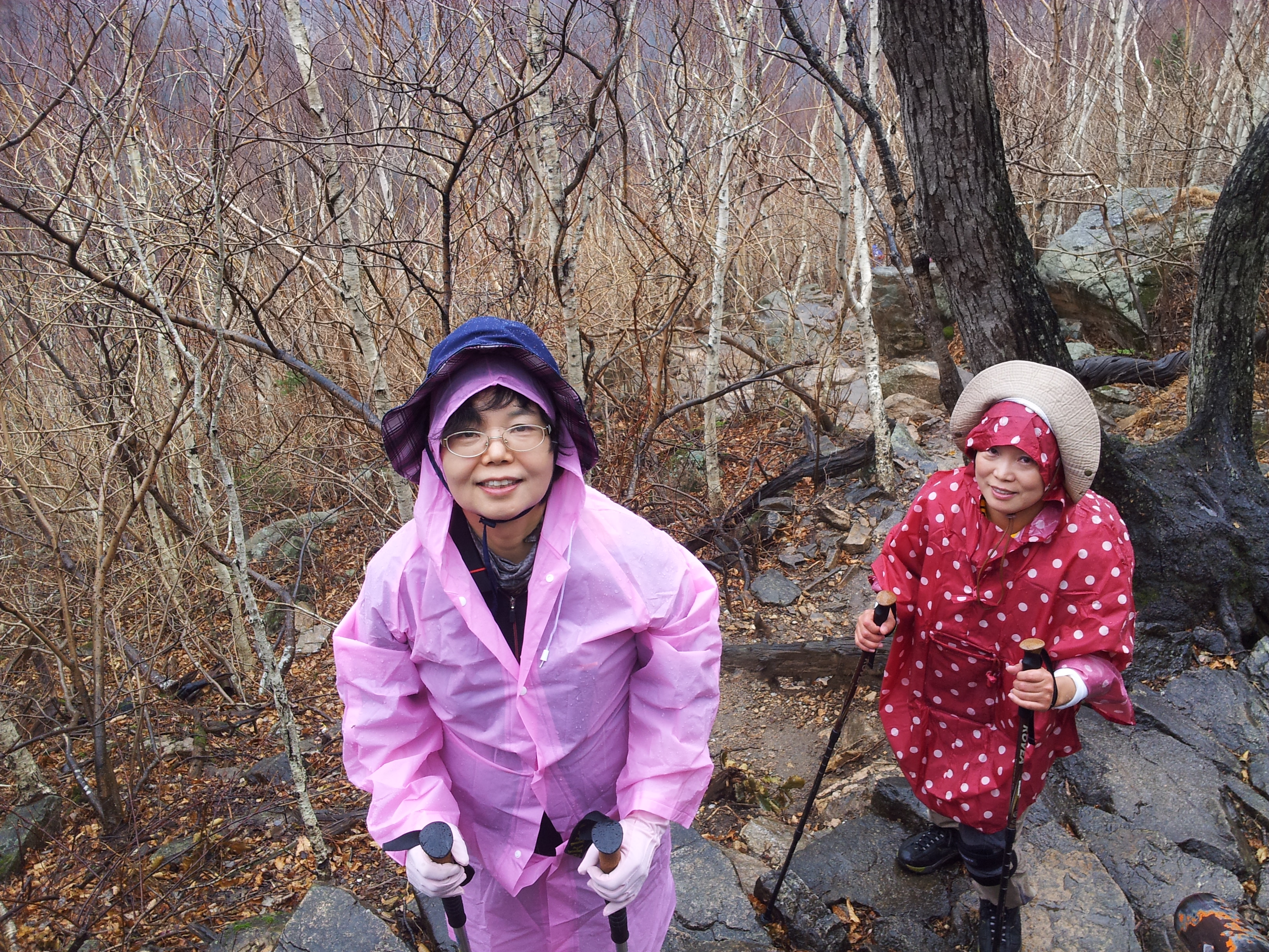 20121027_103140.jpg
