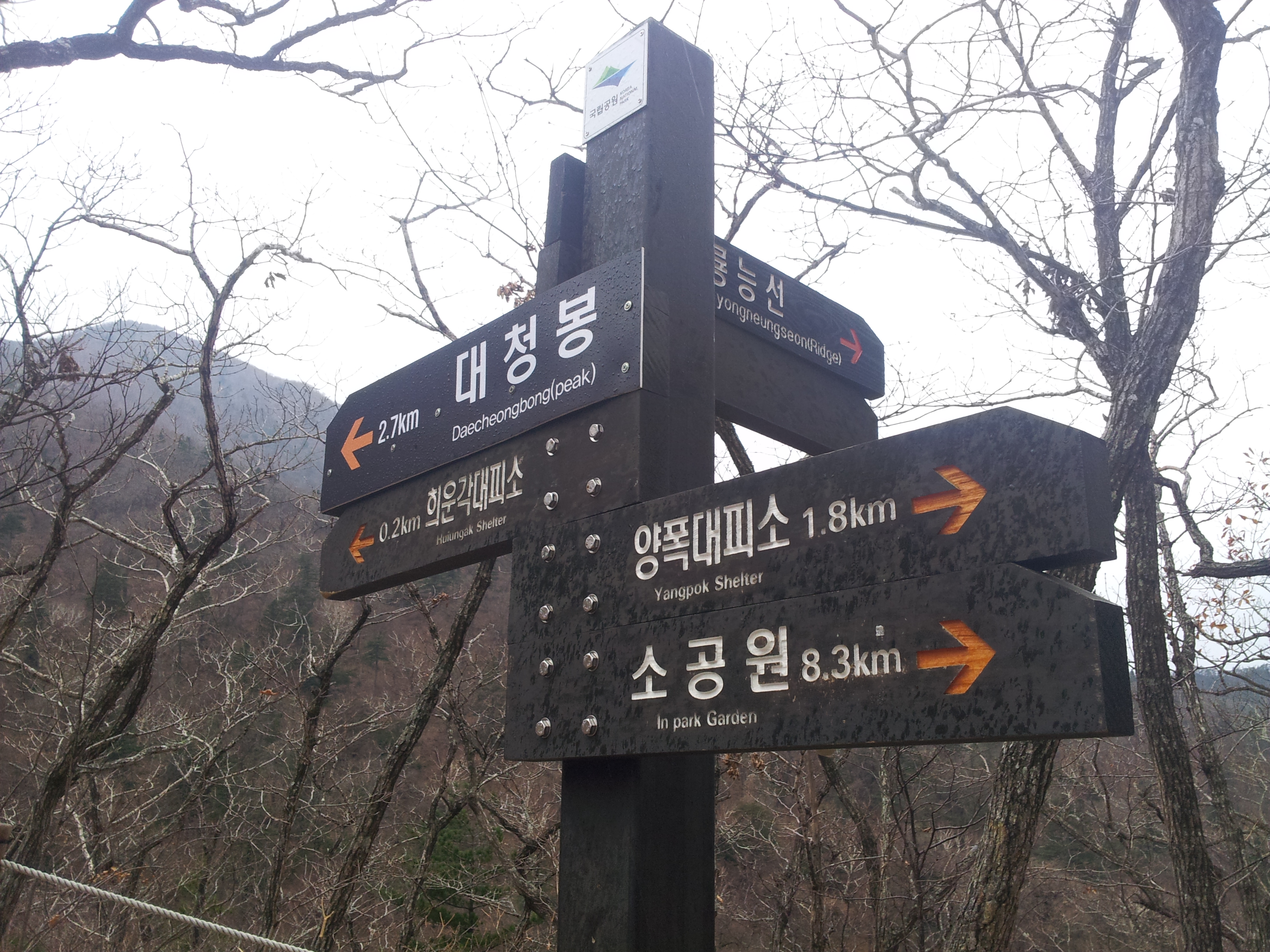 20121027_082705.jpg