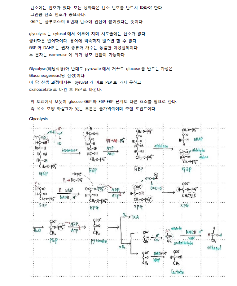 ScreenClip (4).png