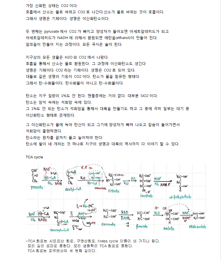 ScreenClip (7).png