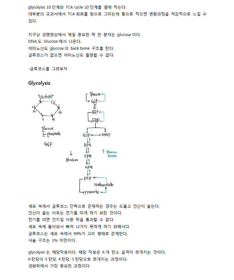 ScreenClip (3).png