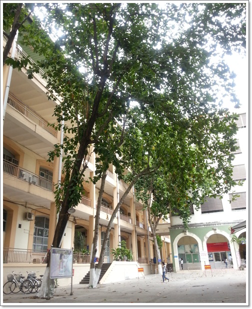 20130223_133205.jpg