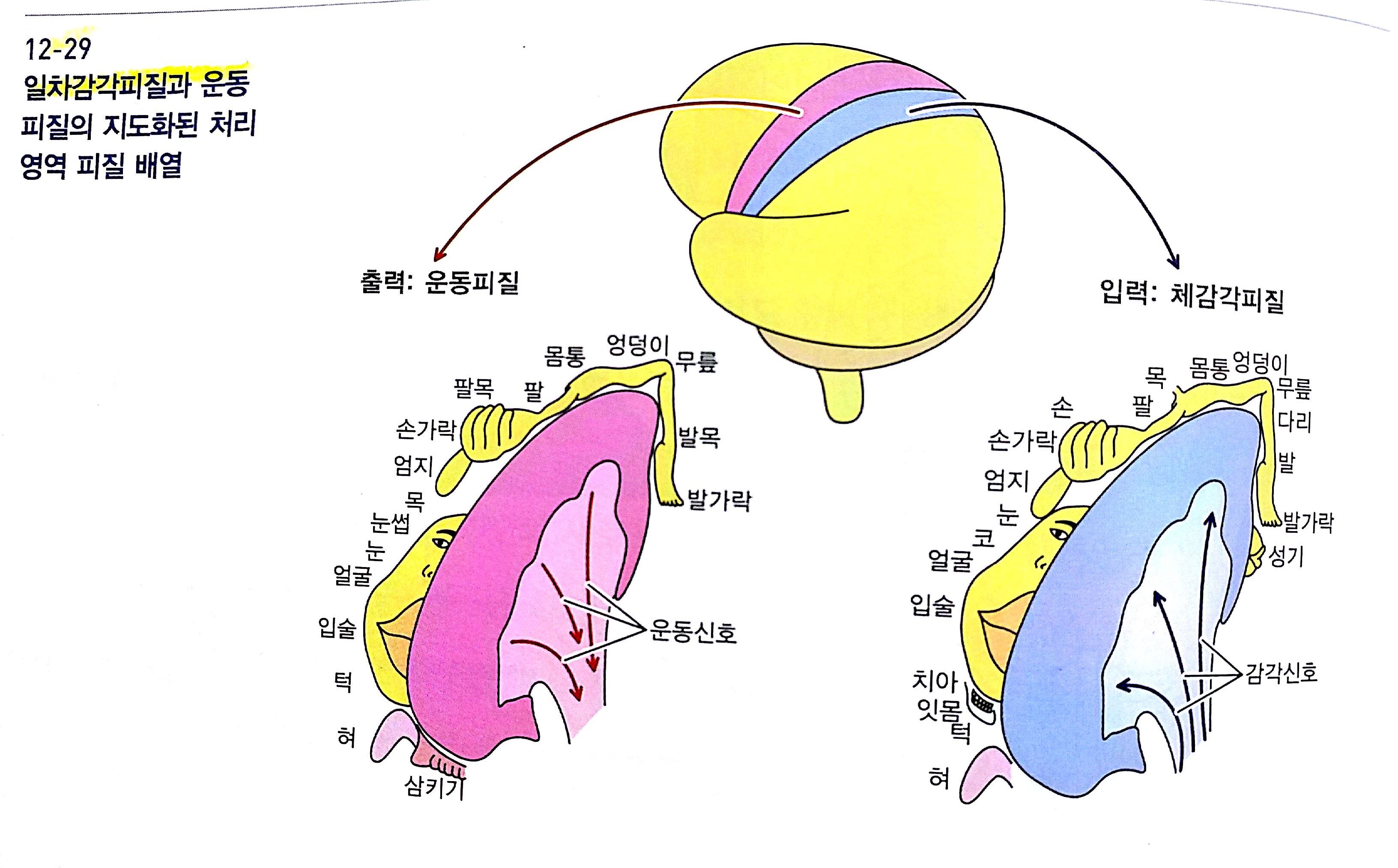 20170212-20차 리딩_37.jpg