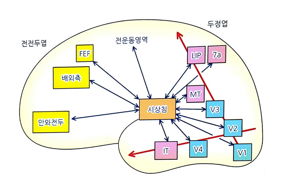 KakaoTalk_20170215_001138529.jpg