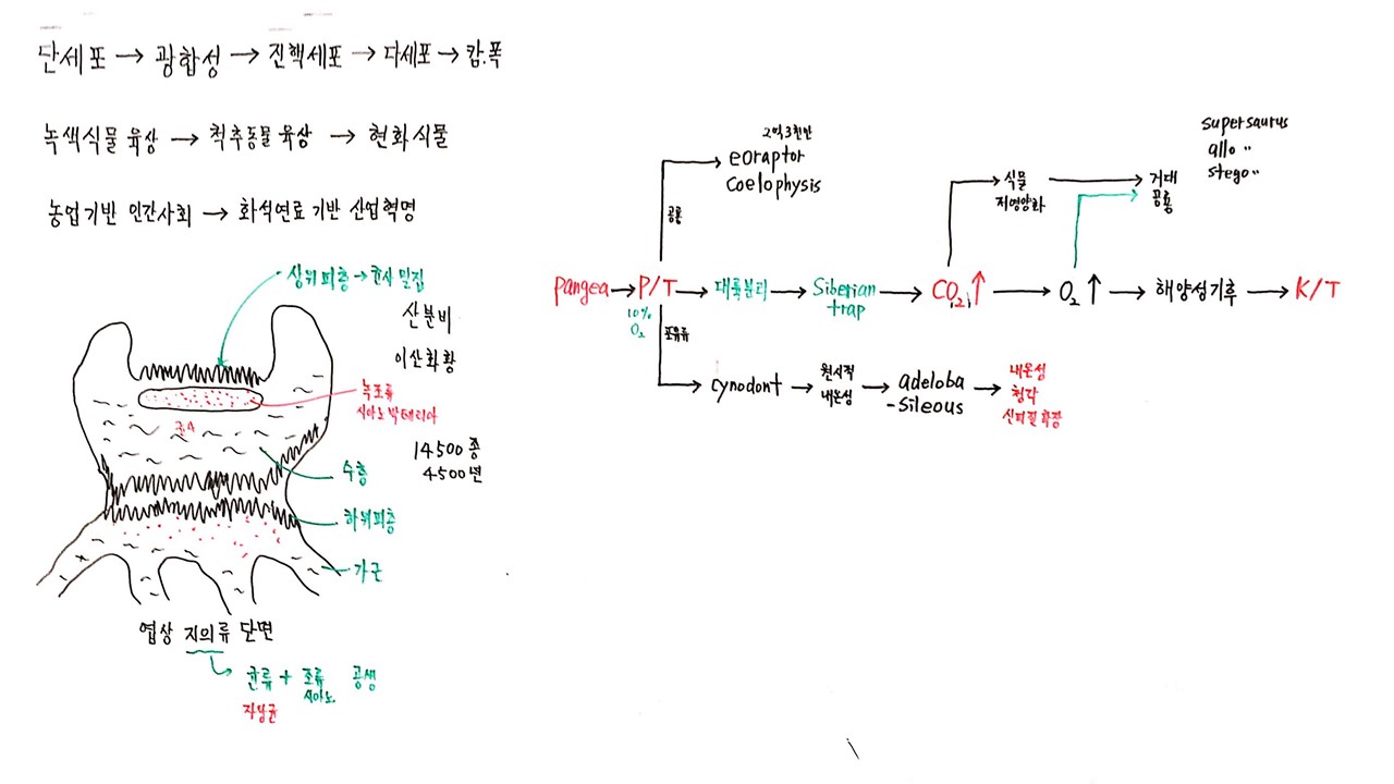 슬라이드1.JPG