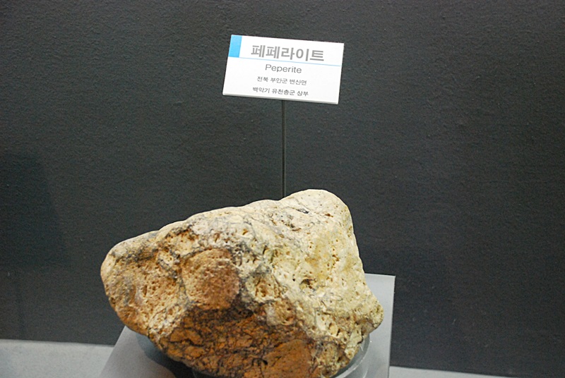 DSC_0245.JPG