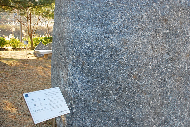 DSC_0341.JPG