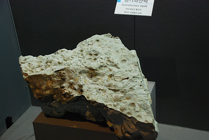 DSC_0246.JPG