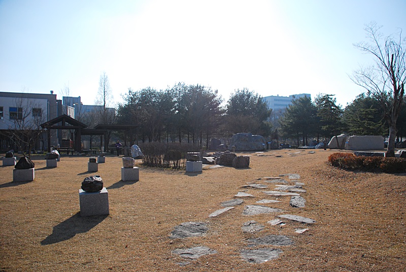 DSC_0306.JPG