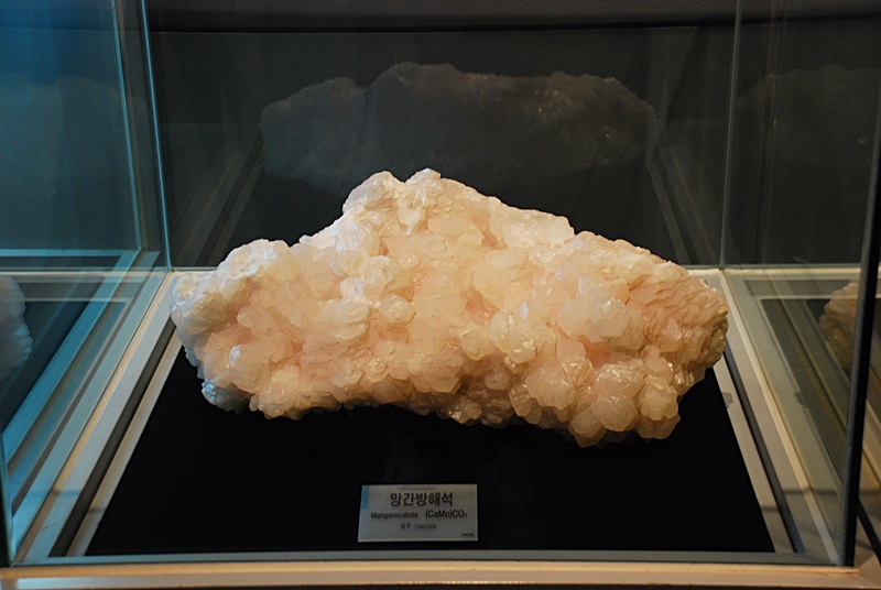 DSC_0218.JPG