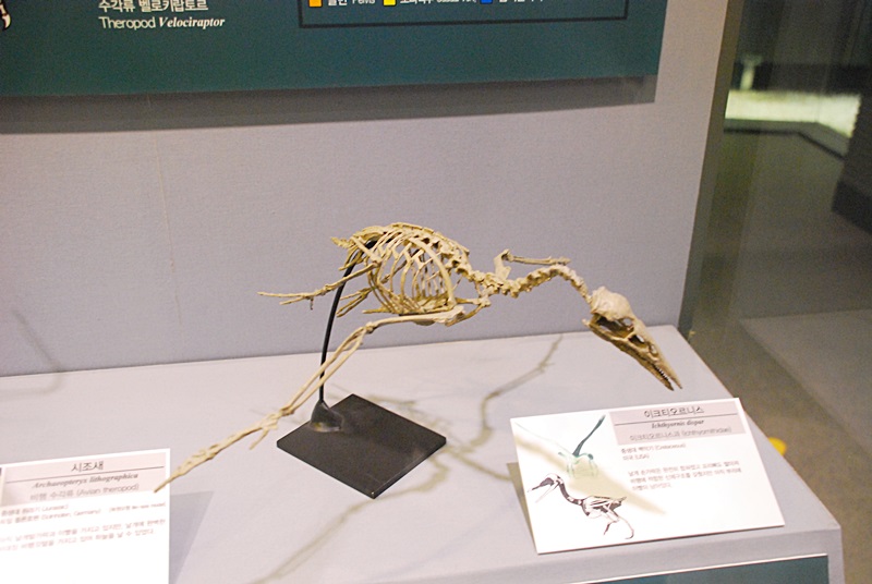 DSC_0260.JPG