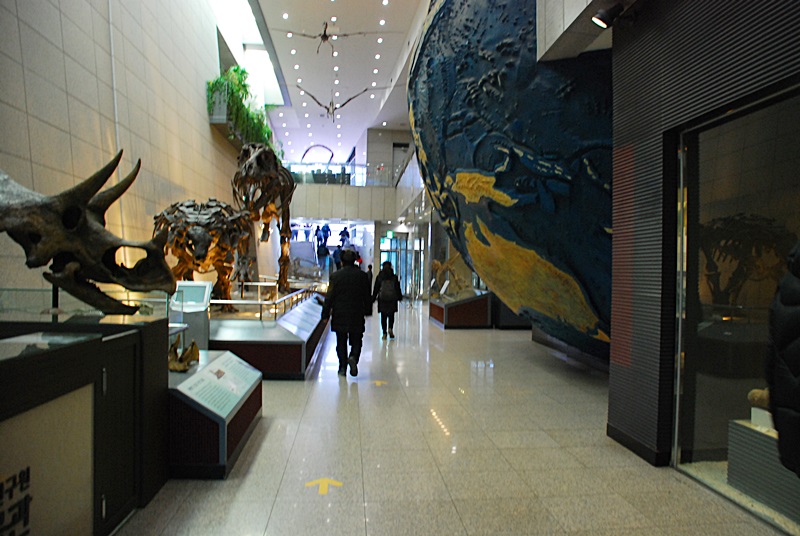 DSC_0133.JPG
