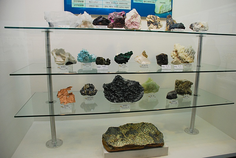 DSC_0205.JPG