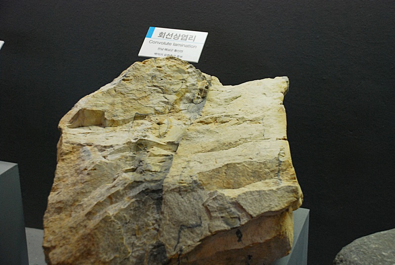 DSC_0244.JPG