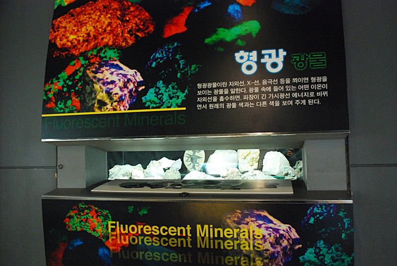 DSC_0214.JPG