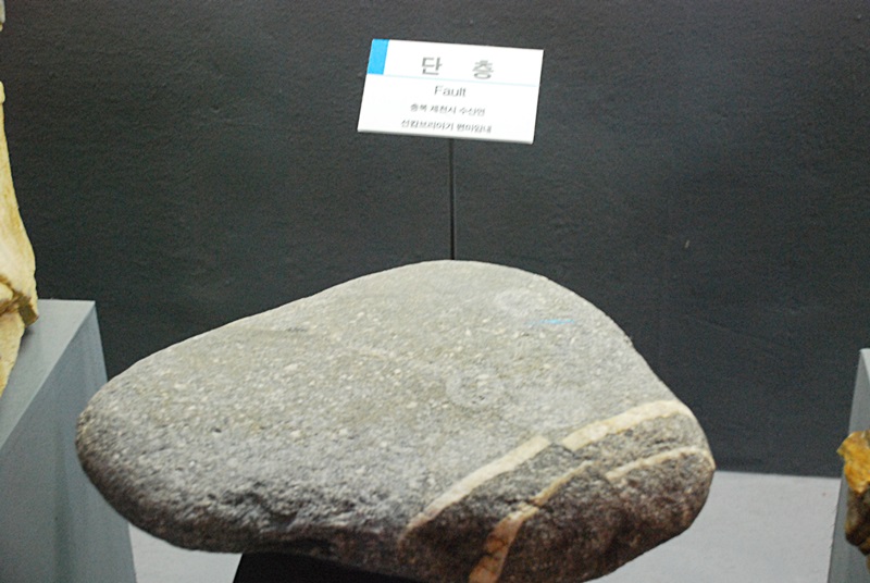 DSC_0243.JPG