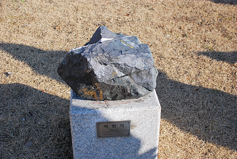 DSC_0312.JPG