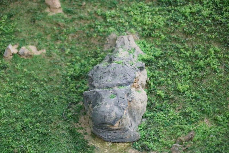 1124.JPG