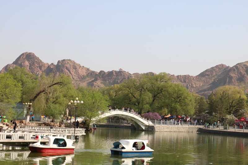 905.JPG