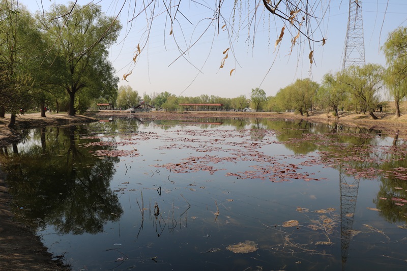 947.JPG