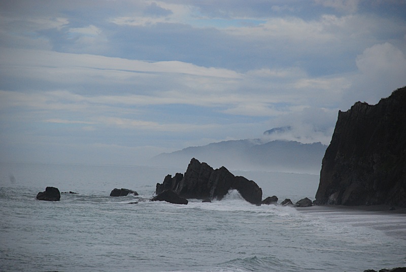 DSC_0824.JPG