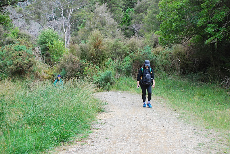 DSC_0574.JPG