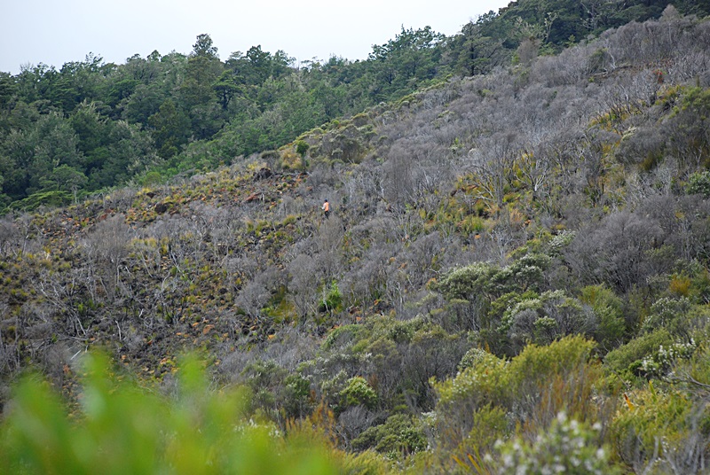 DSC_0608.JPG