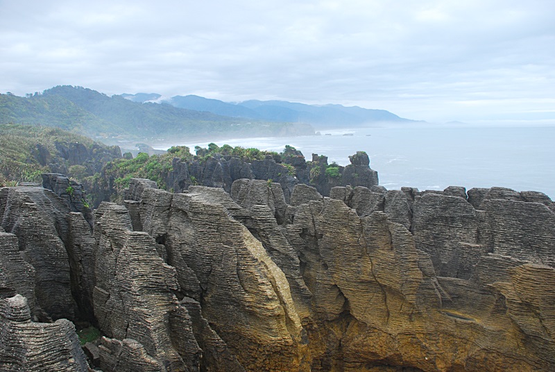DSC_0715.JPG