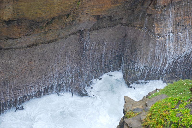 DSC_0700.JPG